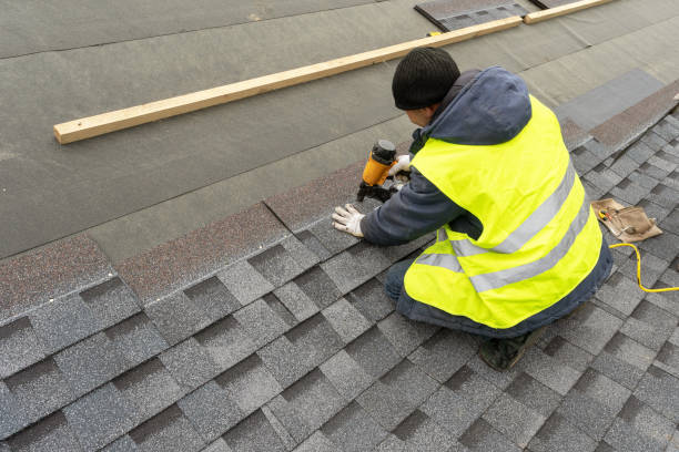 Best Roof Gutter Cleaning  in East Hazel Crest, IL