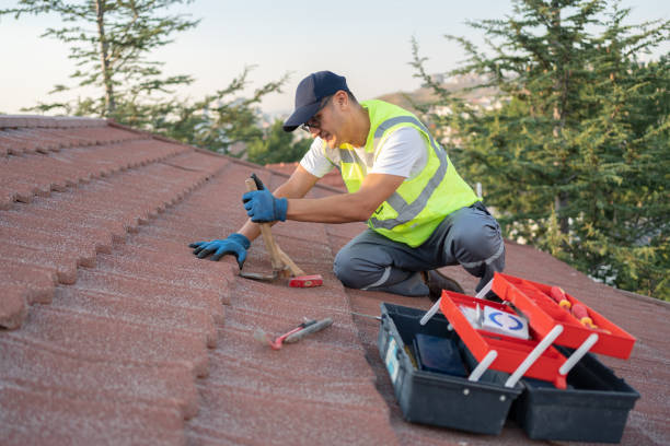 Best Roof Repair Services  in East Hazel Crest, IL